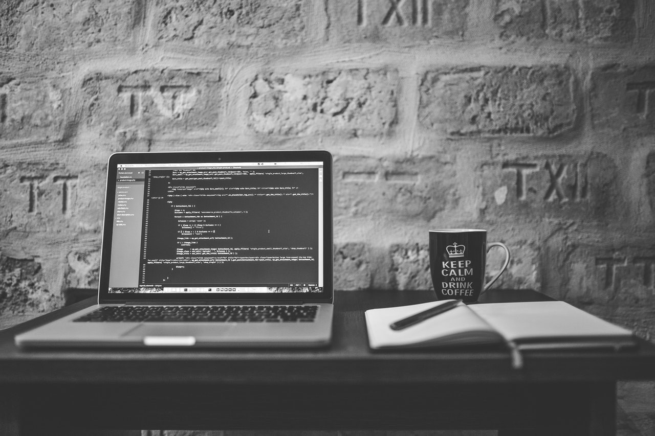 programming course python