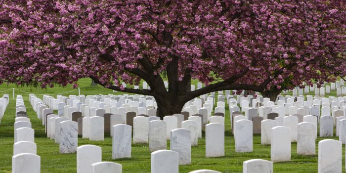 visiting cemetry on memorial day