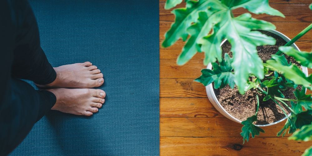 shilpa's yoga classes